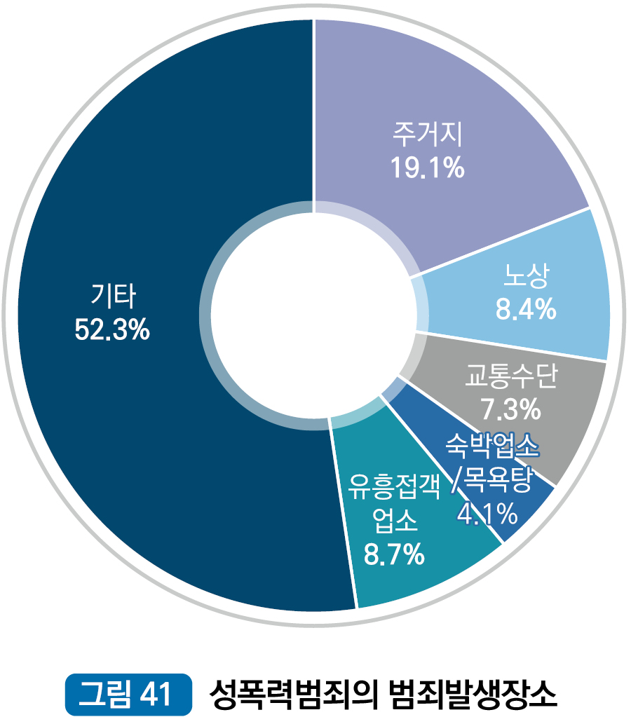성폭력범죄의 범죄발생장소 : 주거지 19.1%, 노상 8.4%, 교통수단 7.3%, 숙박업소/목욕탕 4.1%, 유흥접객업소 8.7%, 기타 52.3%
